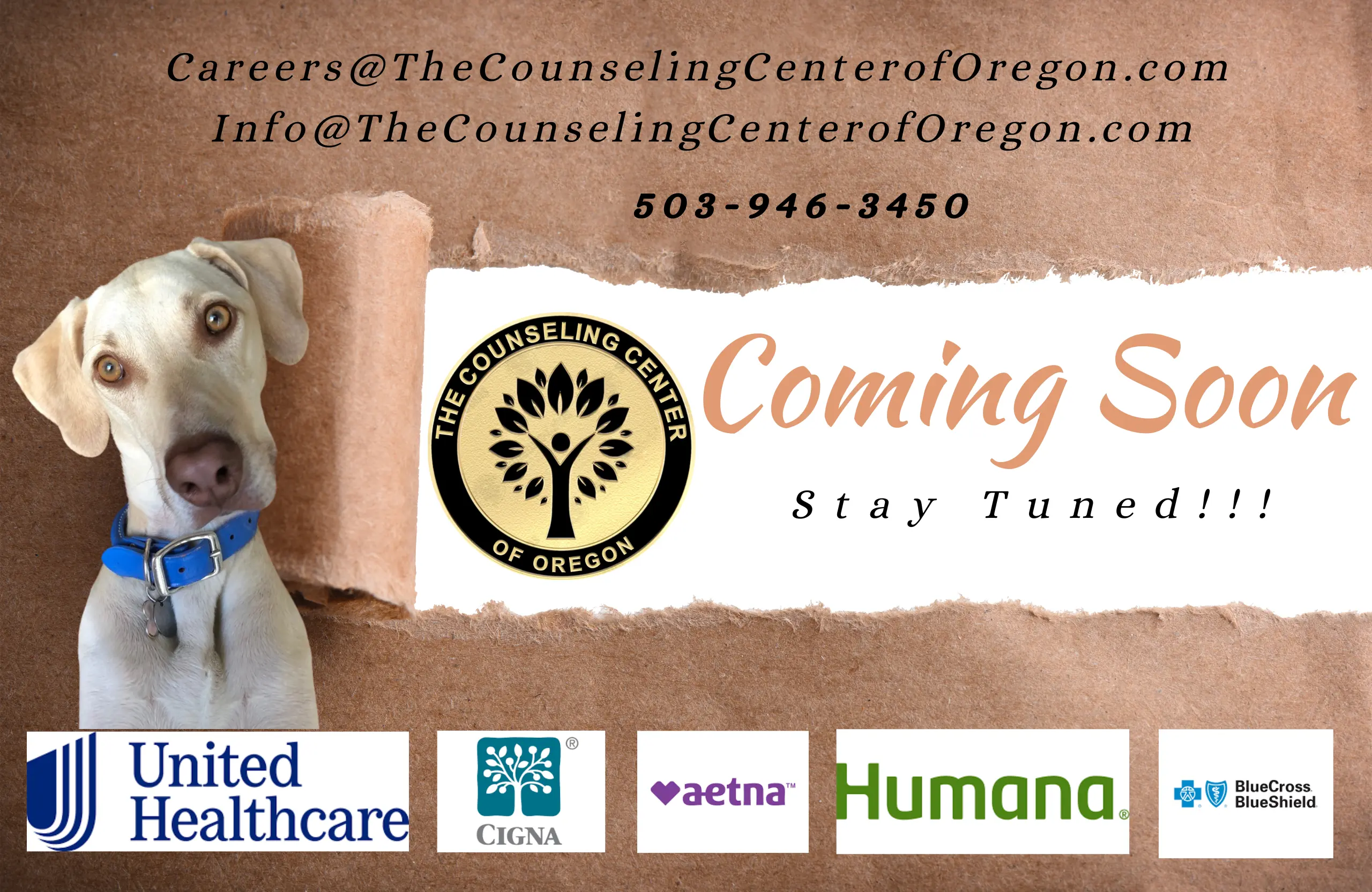 The Counseling Center of Oregon Coming Soon!